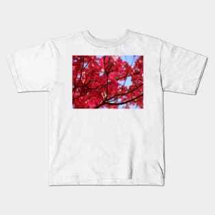 Pink Dogwood Kids T-Shirt